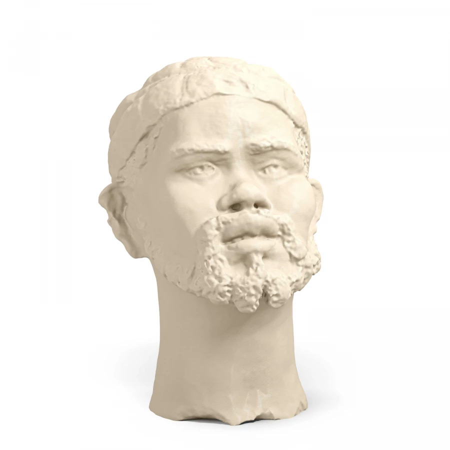 Busto maschile dell'Africa occidentale in avorio chiaro