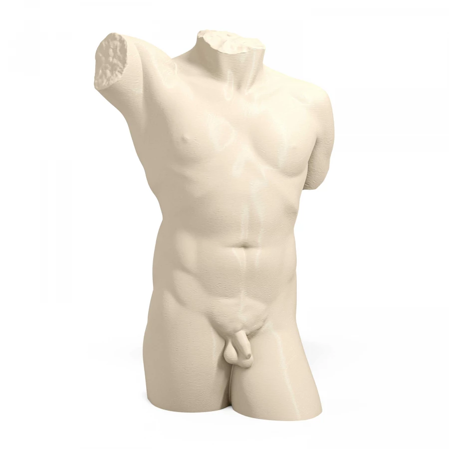 Torso maschile neoclassico degli anni Quaranta in avorio chiaro